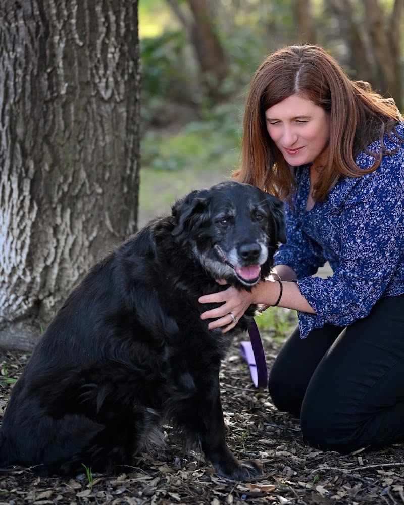 Photo of Gone West Vet - In-Home Pet Euthanasia