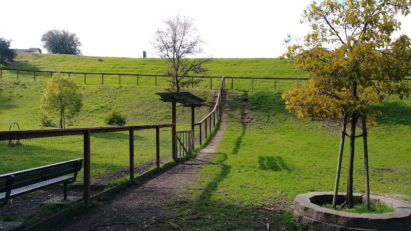 Ohlone Park photo 2