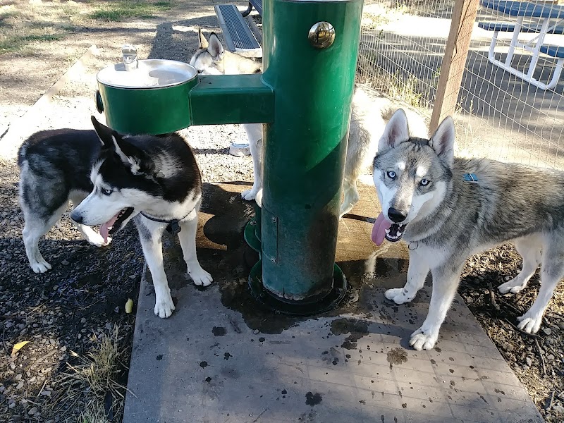 Ohlone Park photo 3