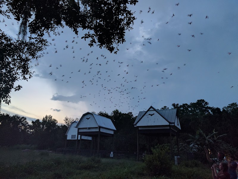 University of Florida photo 5