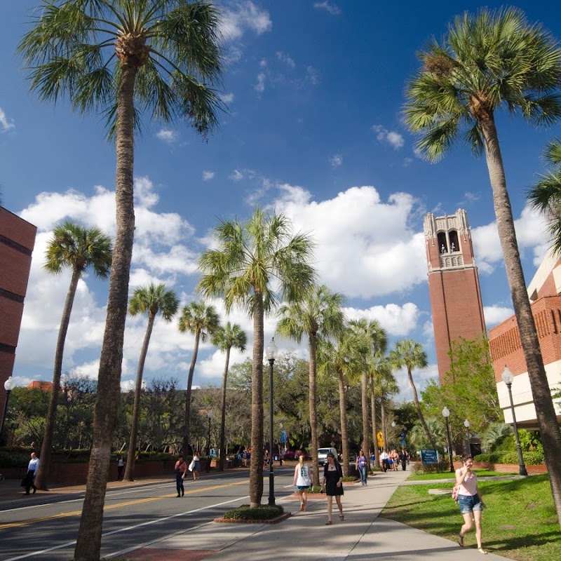 Photo of University of Florida