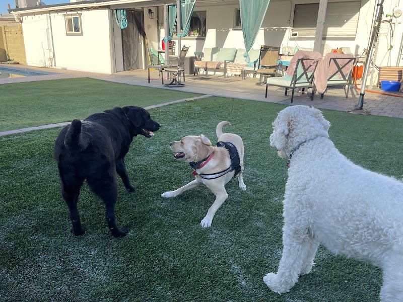 Way of Life Pet Sitting & Boarding, LLC photo 2