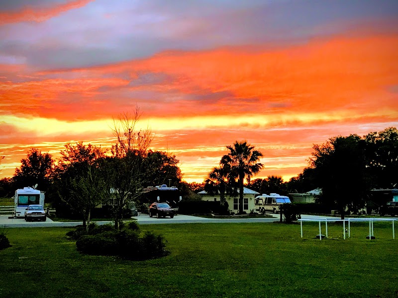 Florida Grande Motor Coach Resort photo 5