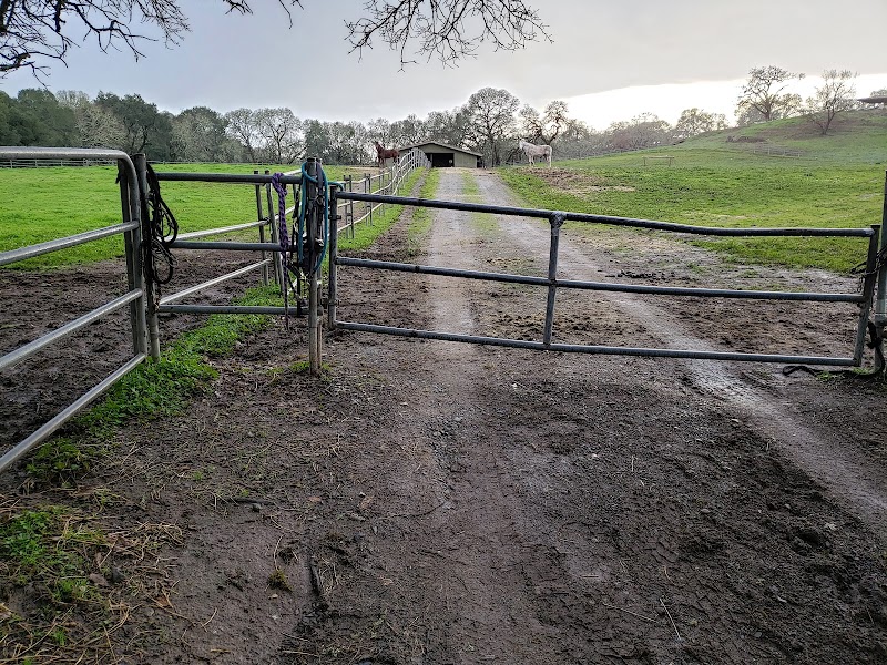 Chalk Hill Ranch photo 3