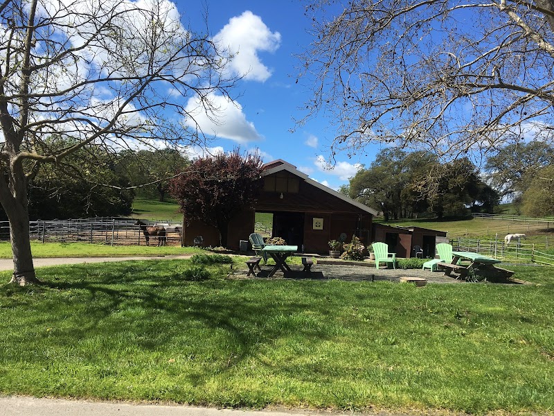 Photo of Chalk Hill Ranch