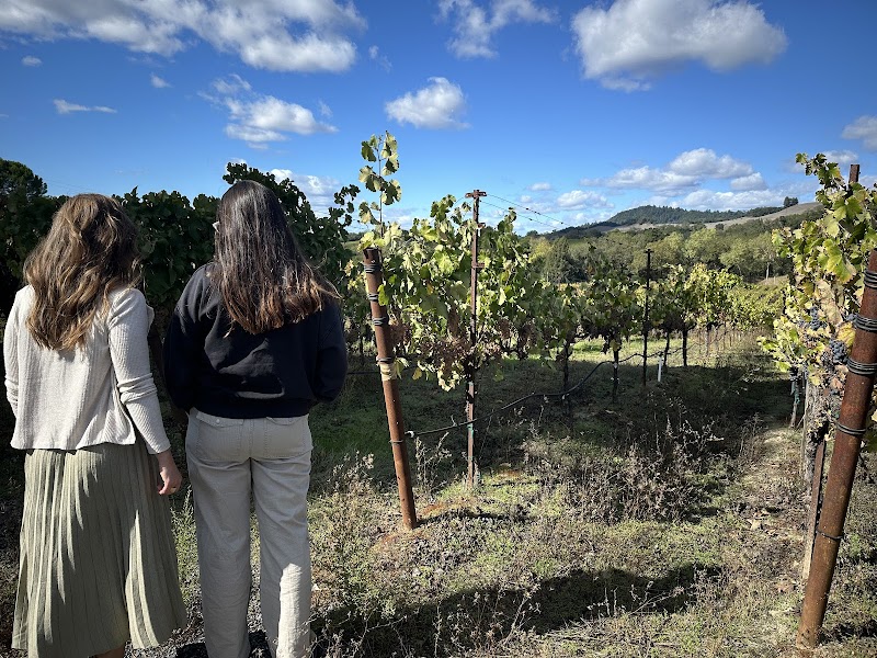 Platypus Wine Tours in Sonoma photo 2