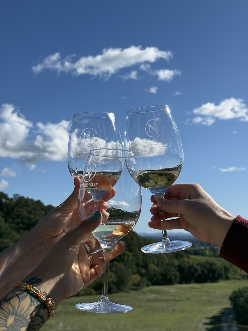 Platypus Wine Tours in Sonoma photo 5