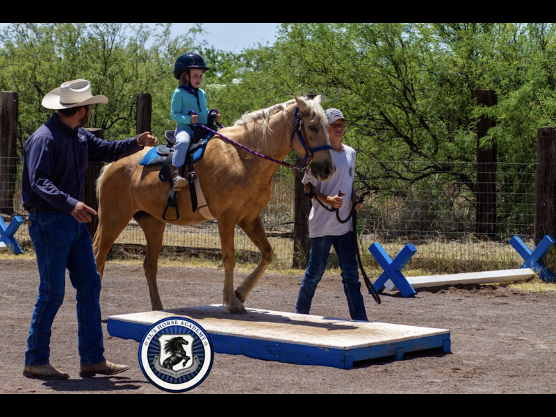 Photo of Al's Horse Academy