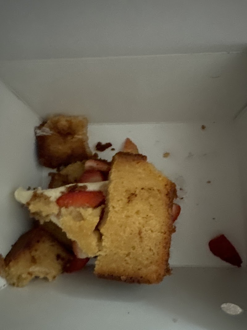 The Meltdown photo 5