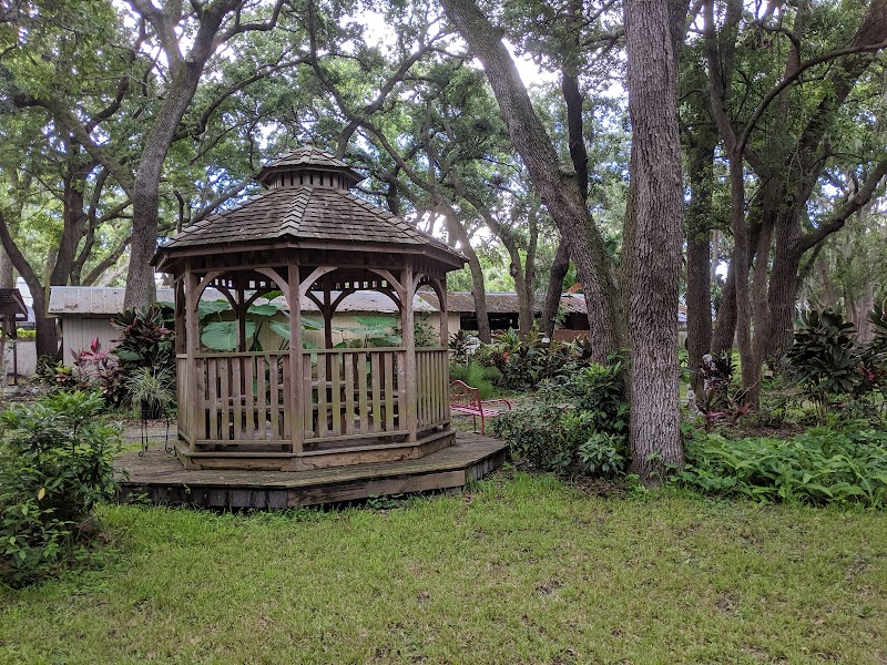 Unity of Palm Harbor photo 3