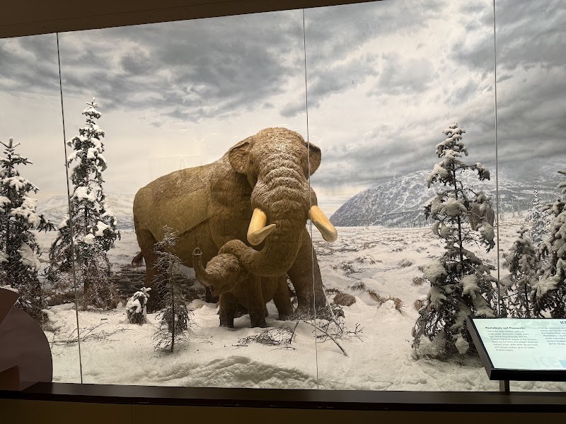 New York State Museum photo 3