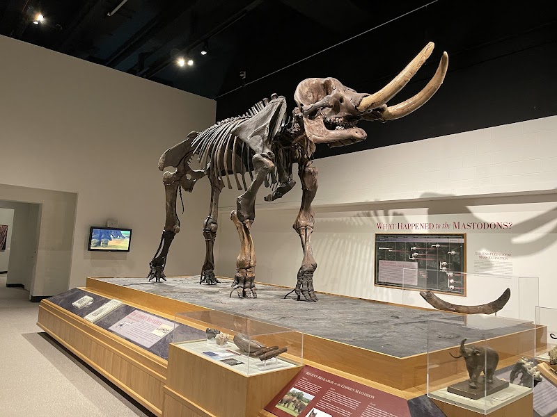 New York State Museum photo 2