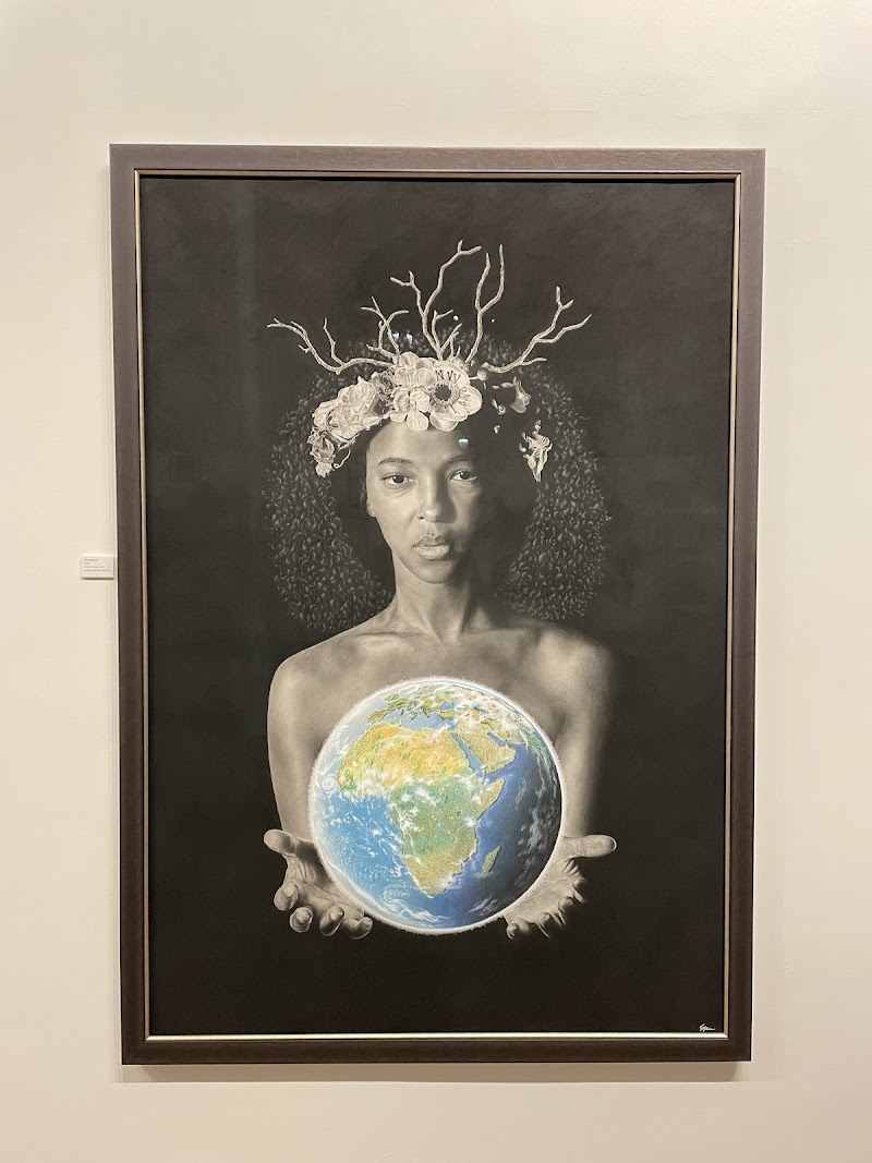 VIBE Gallery photo 2
