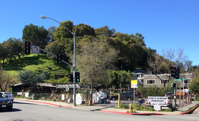 O'Donnell's Fairfax Nursery photo 4