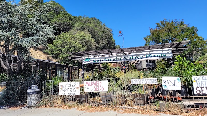 O'Donnell's Fairfax Nursery photo 3