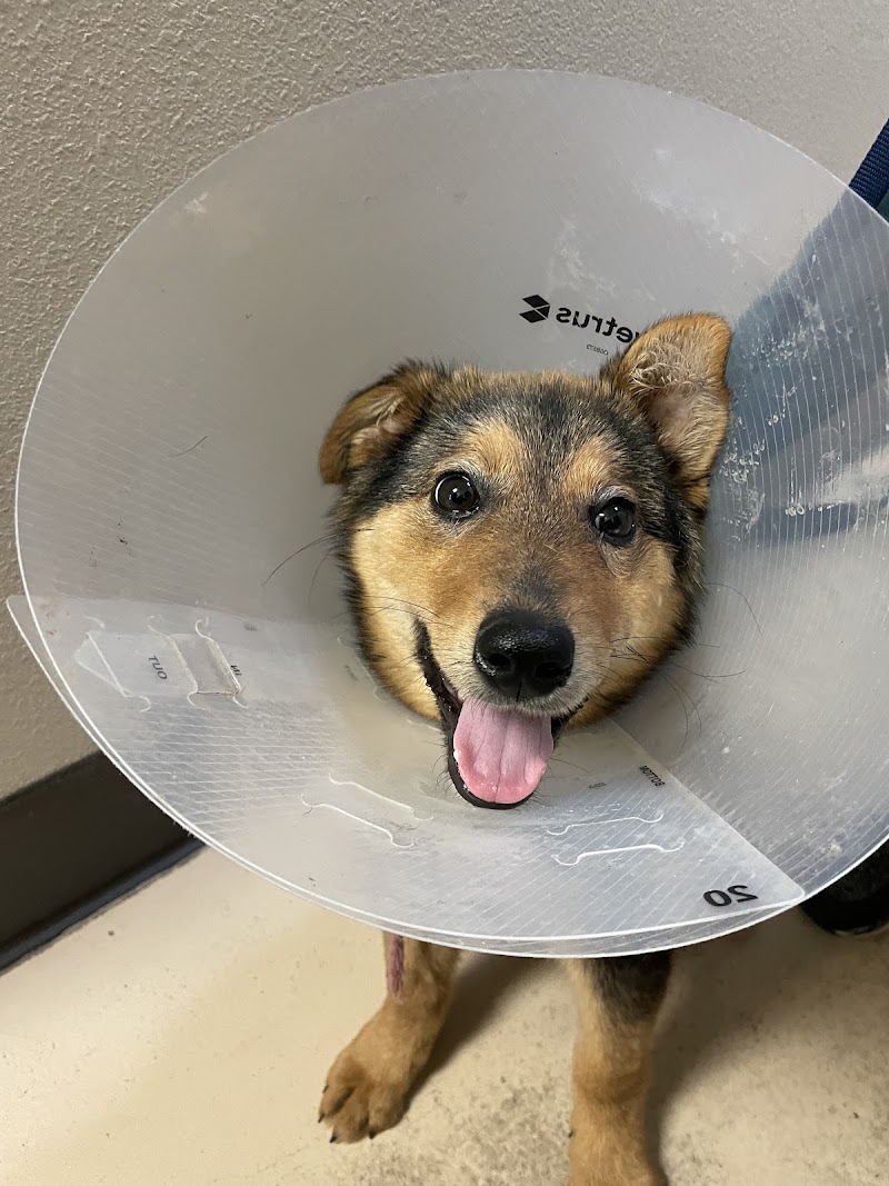 Valley Humane Society's Phil Scholz Veterinary Surgery Center photo 2