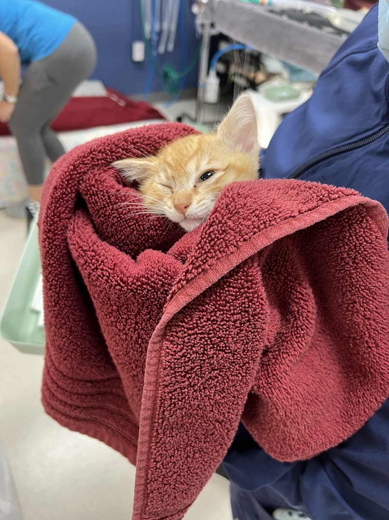 Valley Humane Society's Phil Scholz Veterinary Surgery Center photo 4