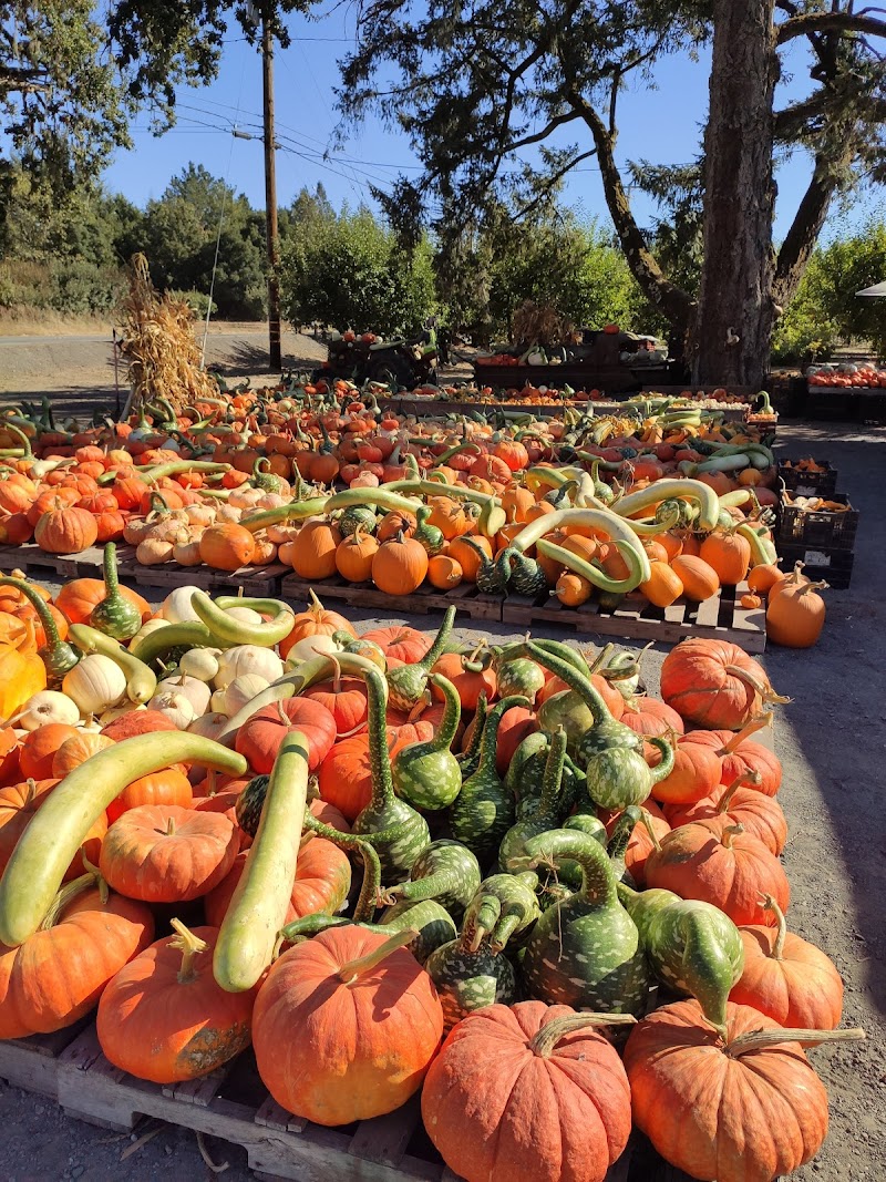 Photo of Hales Apple Farm