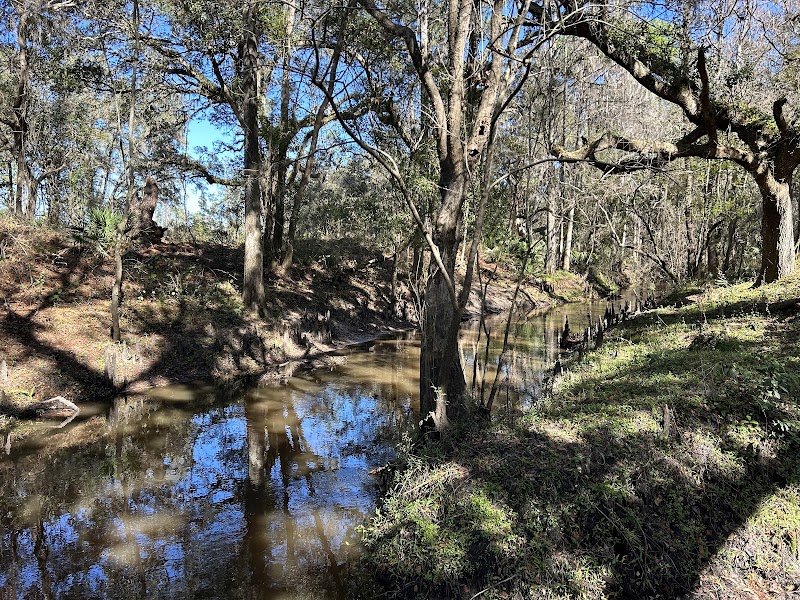 Lower Green Swamp Nature Preserve photo 4