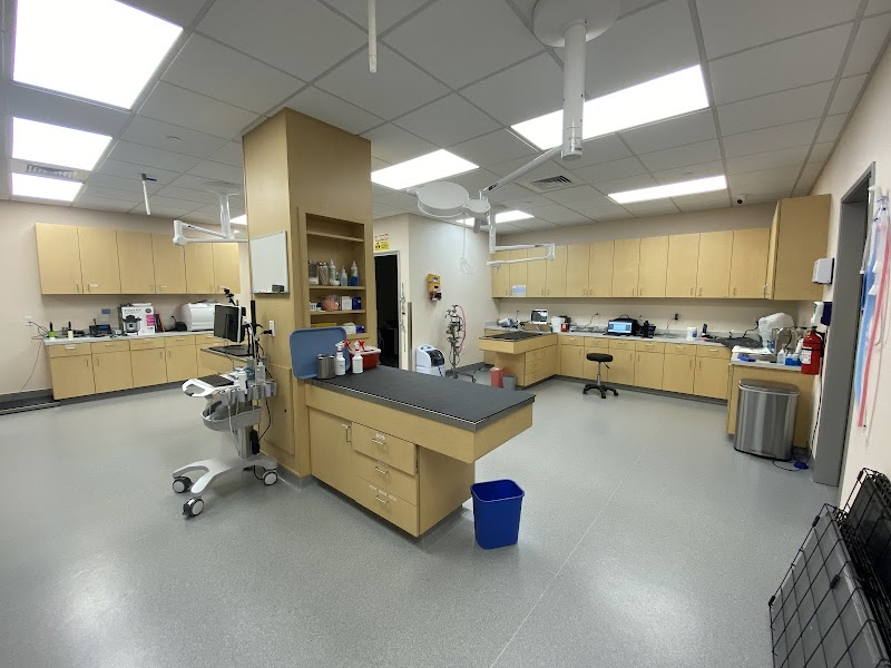 Photo of Marin City Animal Hospital