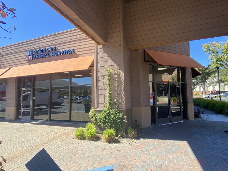 Marin City Animal Hospital photo 2