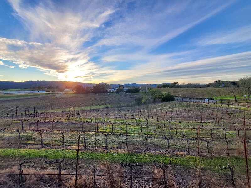 Photo of Mazzocco Sonoma