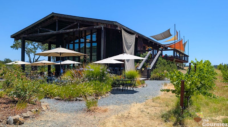 Mazzocco Sonoma photo 4