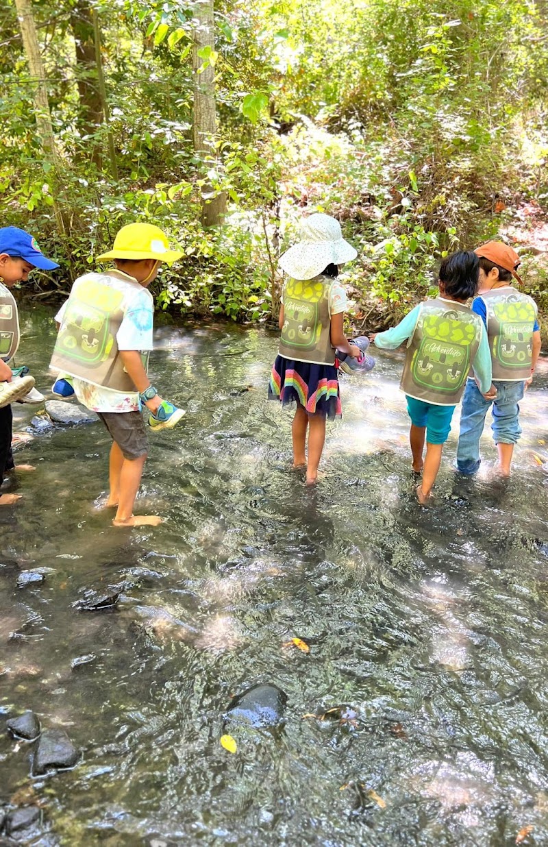 Leapstart After School & Summer Camps photo 4