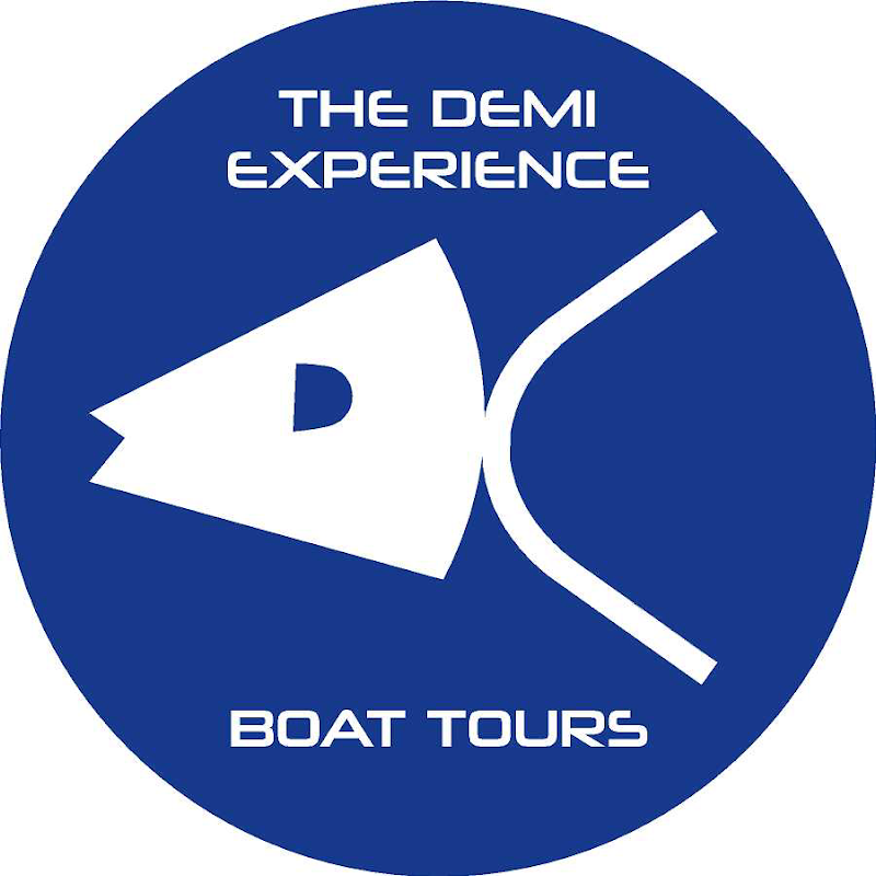 The Demi Experience photo 4