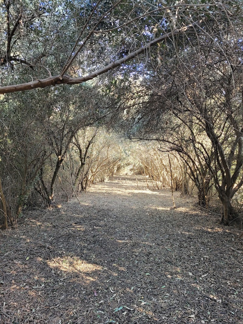 Knoll Organic Farms photo 4