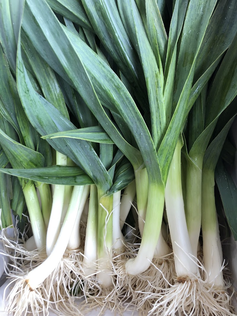 Photo of Knoll Organic Farms
