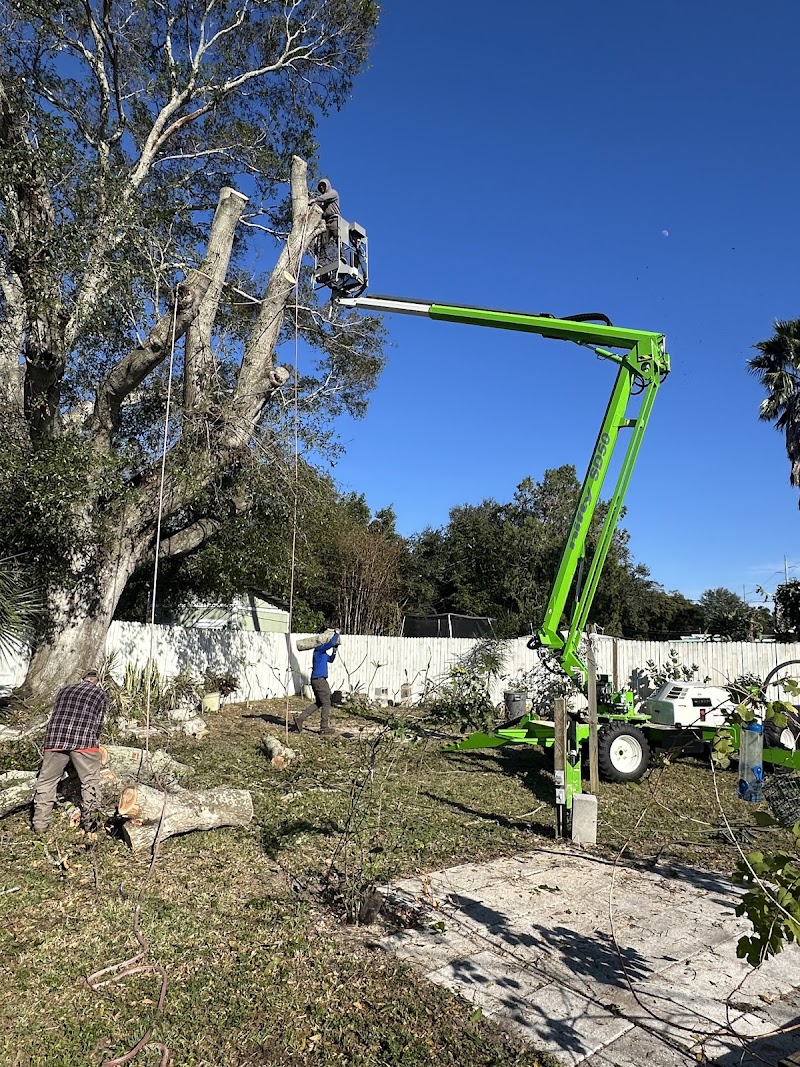 By The Bay Tree Service photo 2