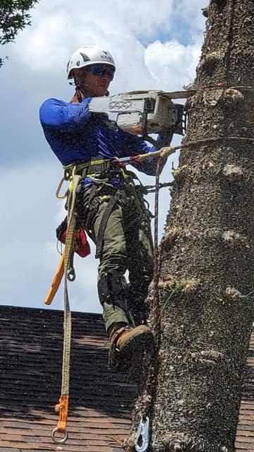 Photo of By The Bay Tree Service