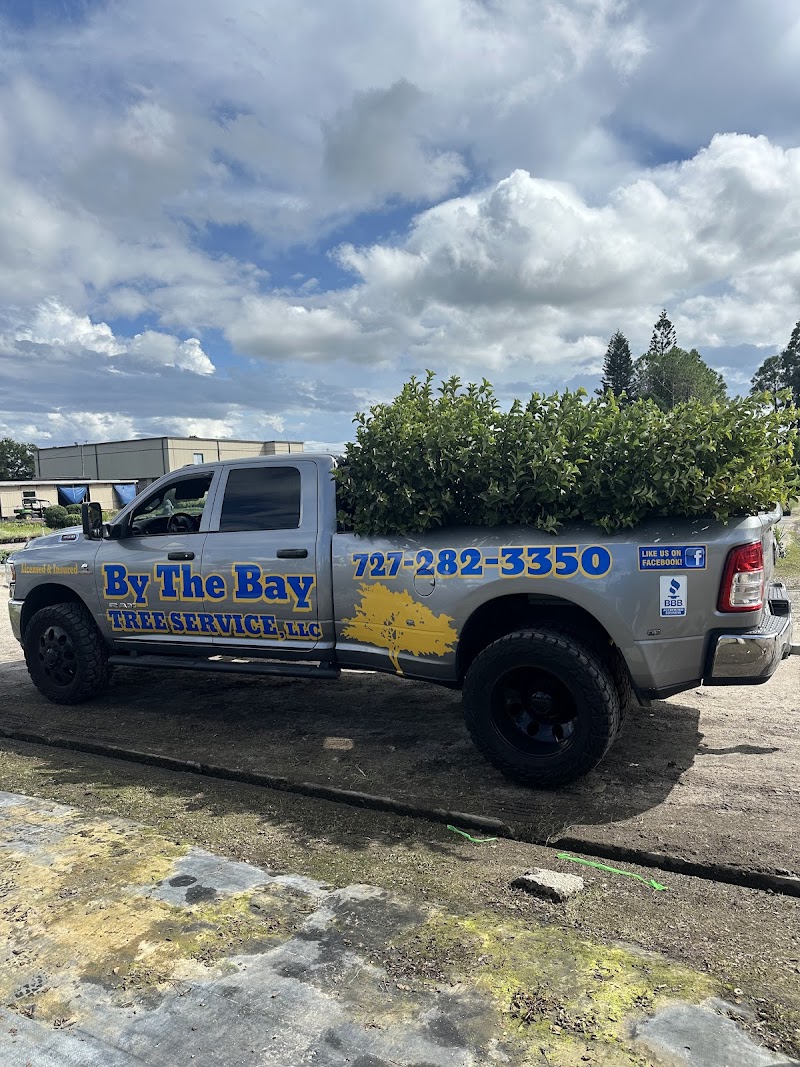 By The Bay Tree Service photo 3