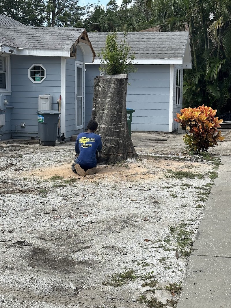 By The Bay Tree Service photo 5