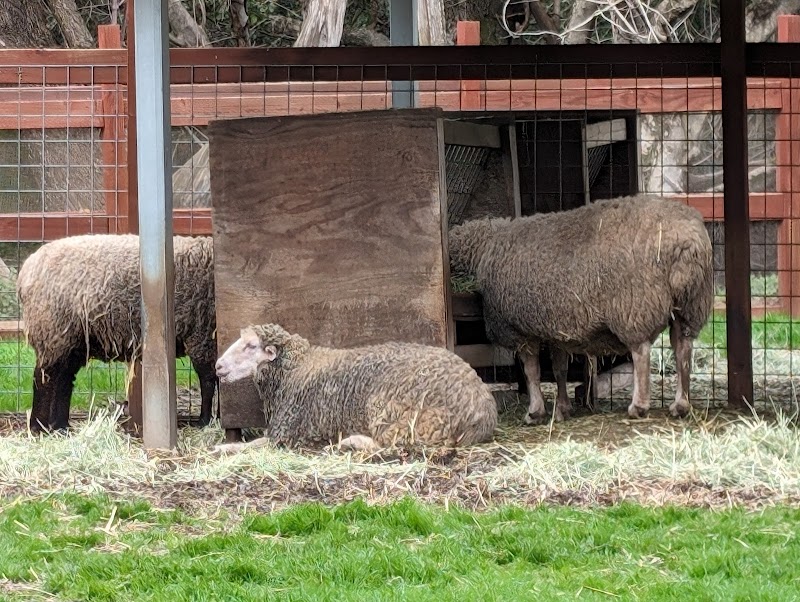 Deer Hollow Farm photo 5