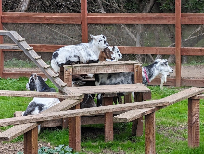 Photo of Deer Hollow Farm