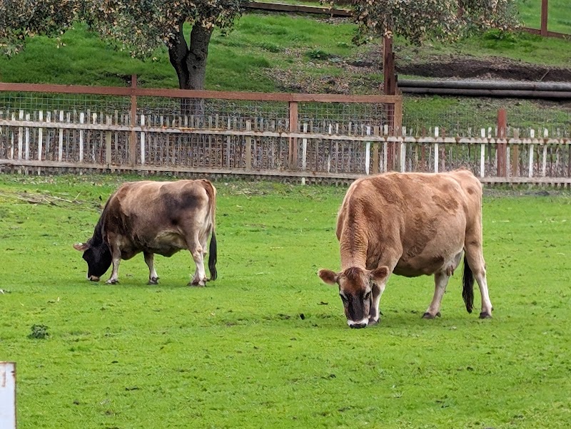 Deer Hollow Farm photo 4