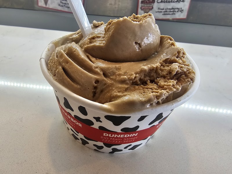 Strachan's Ice Cream & Desserts, Safety Harbor photo 2