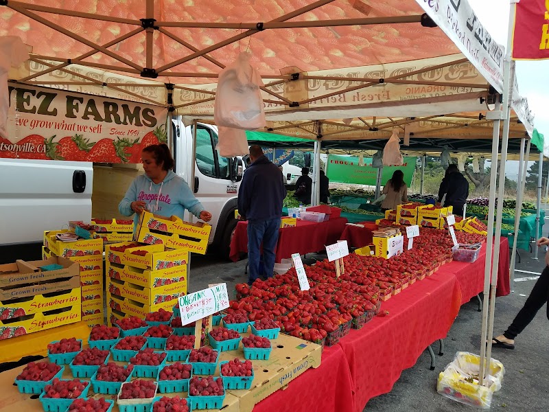 Daly City Farmers' Market at Serramonte Center photo 3