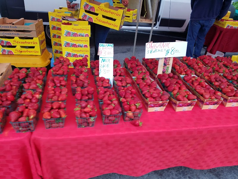 Daly City Farmers' Market at Serramonte Center photo 5