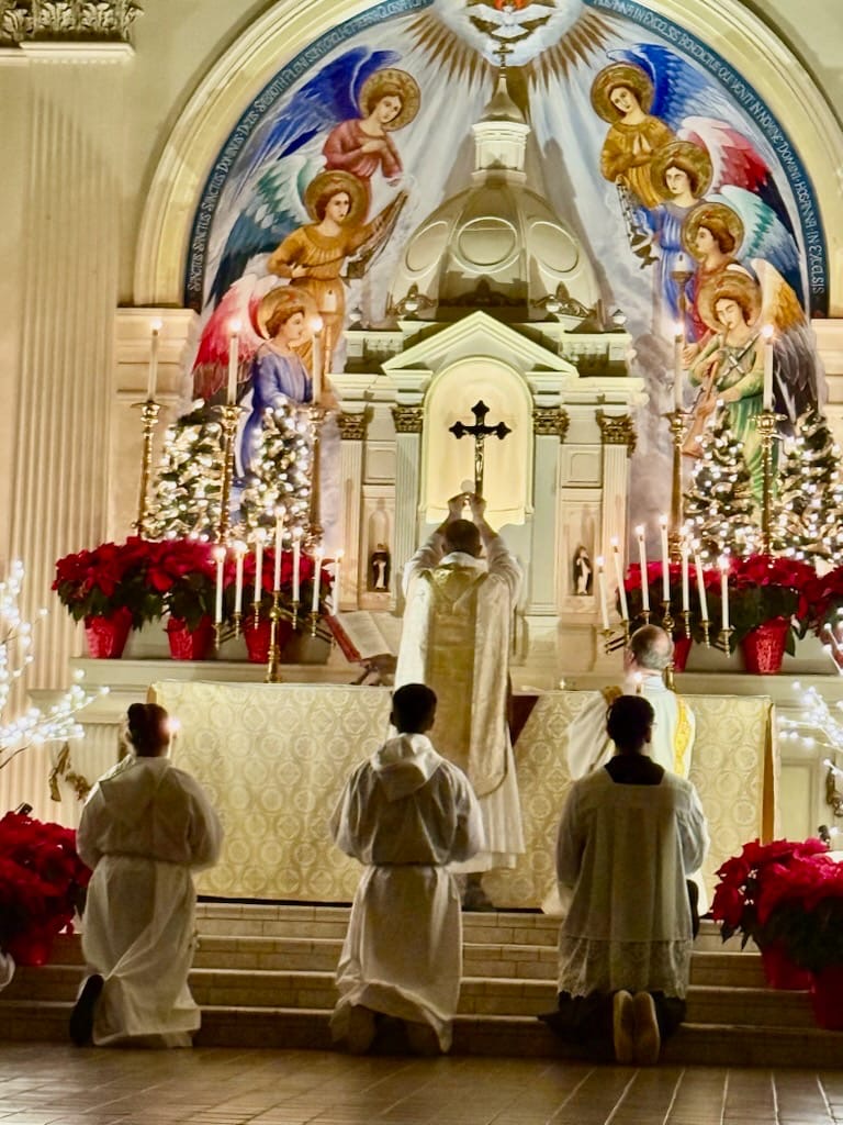 St. Dominic's Church photo 4