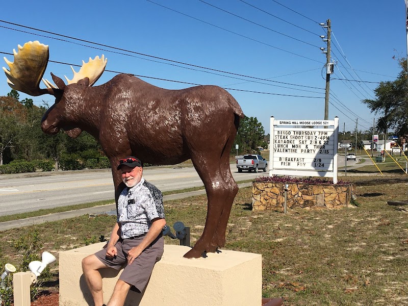 Loyal Order of Moose photo 2