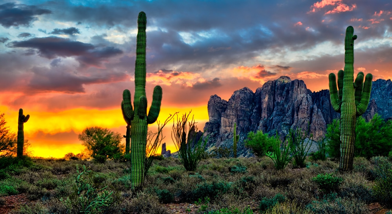 Ryan Comstock Realtor / Tucson / Oro Valley / eXp Realty photo 2
