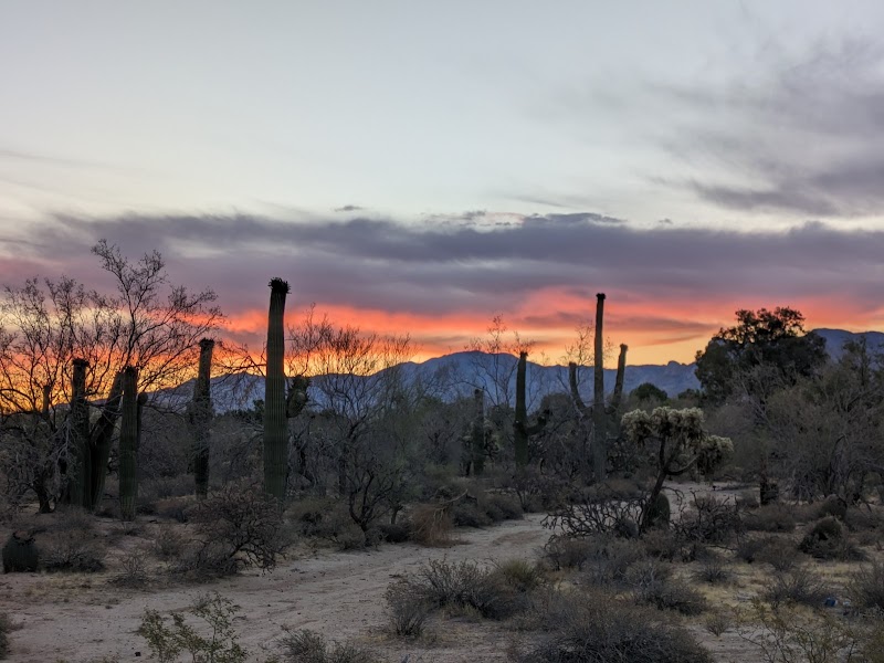 Ryan Comstock Realtor / Tucson / Oro Valley / eXp Realty photo 3
