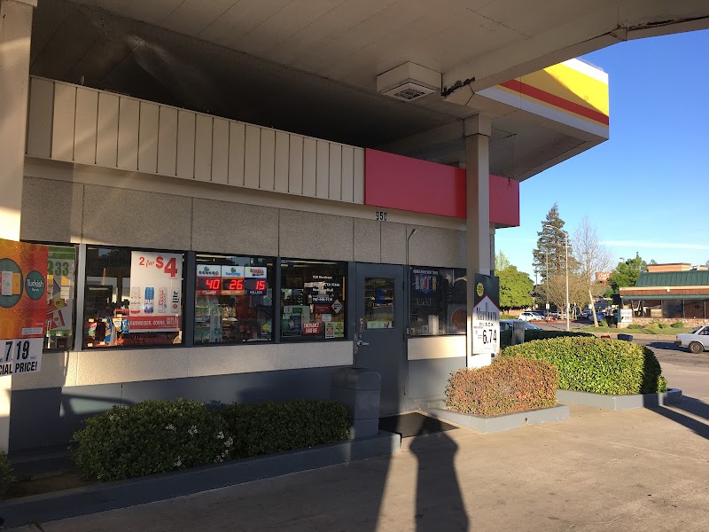 Shell photo 2