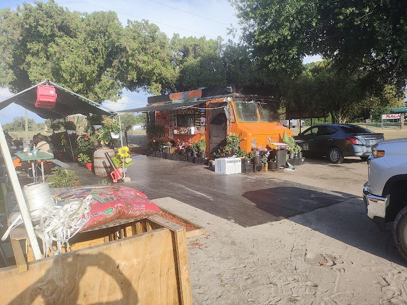 Photo of EL SABOR CHILANGO