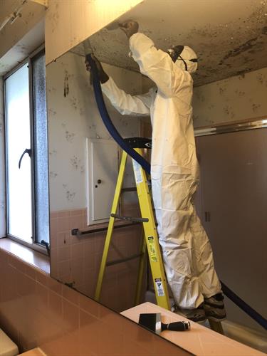 KMC Cleaners & Restoring Services photo 2