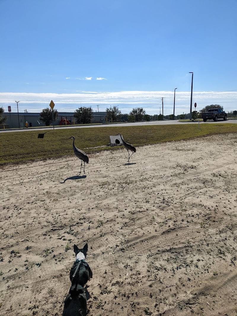 Winter Haven Dog Park photo 5