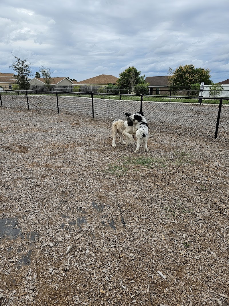 Photo of Winter Haven Dog Park